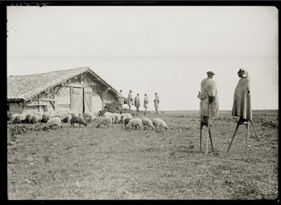 felix-d-ici-et-d-ailleurs