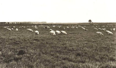 felix-d-ici-et-d-ailleurs