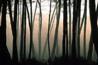 felix-d-ici-et-d-ailleurs