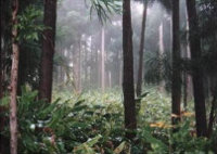 felix-d-ici-et-d-ailleurs